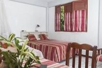 Roseau Valley Hotel Экстерьер фото